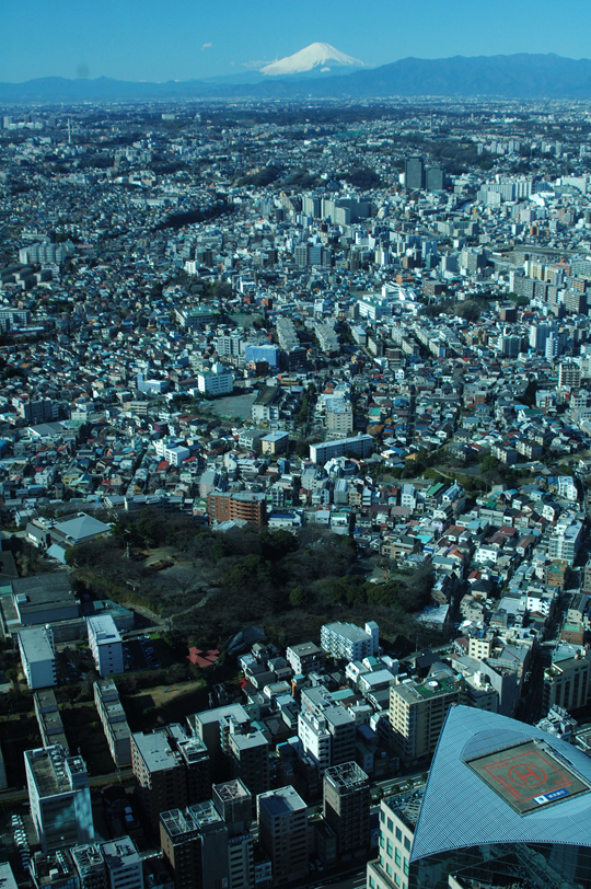 0041-1.jpg