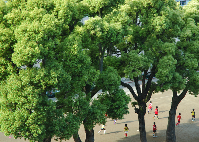 0041-2.jpg