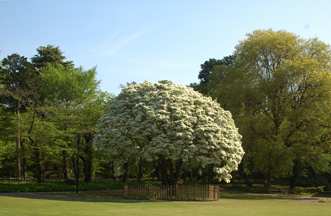 0067-2.jpg