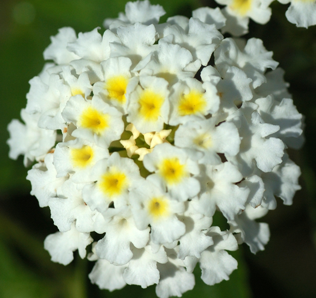 9379-2.jpg