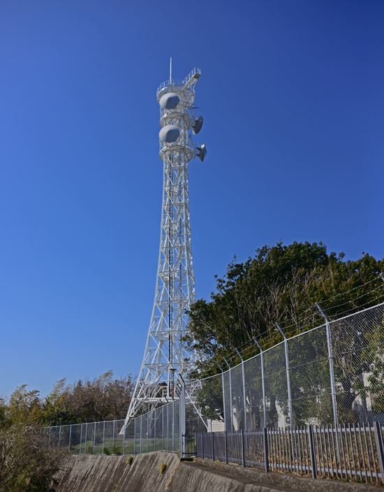DSC_0181-2.jpg