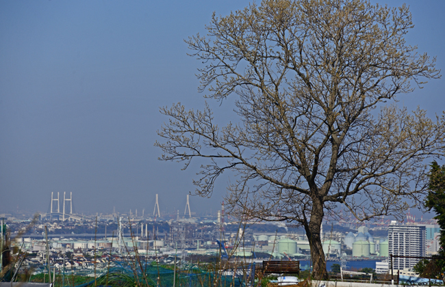 DSC_0185-2.jpg