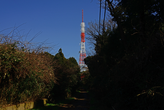 DSC_0197-2.jpg