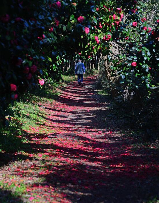 DSC_0217-2.jpg