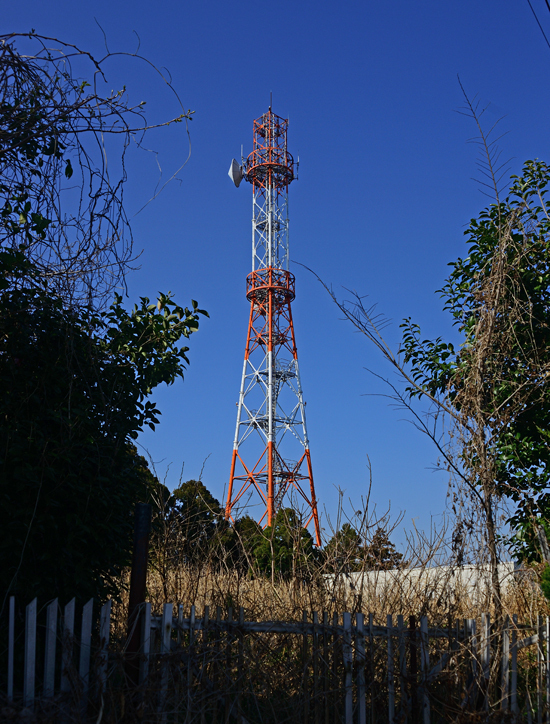 DSC_0252-2.jpg