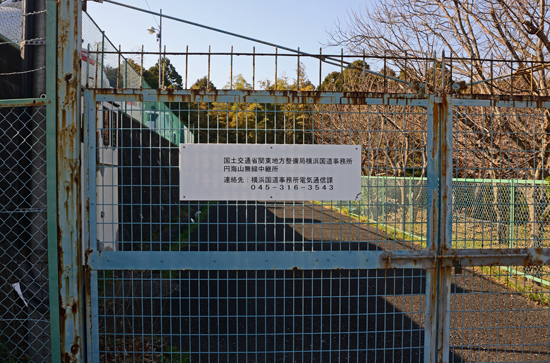 DSC_0254-2.jpg