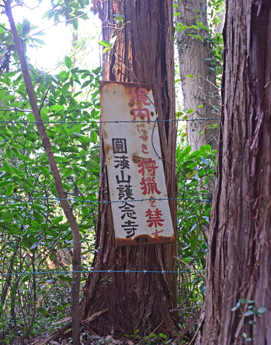DSC_0258-2.jpg