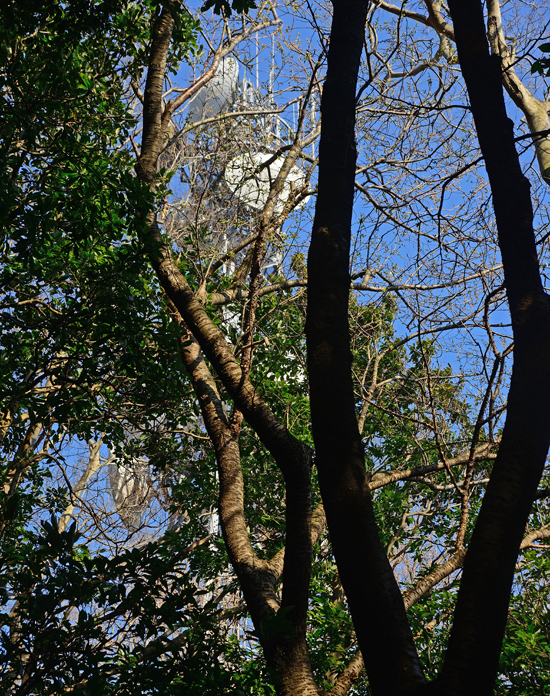 DSC_0262-2.jpg