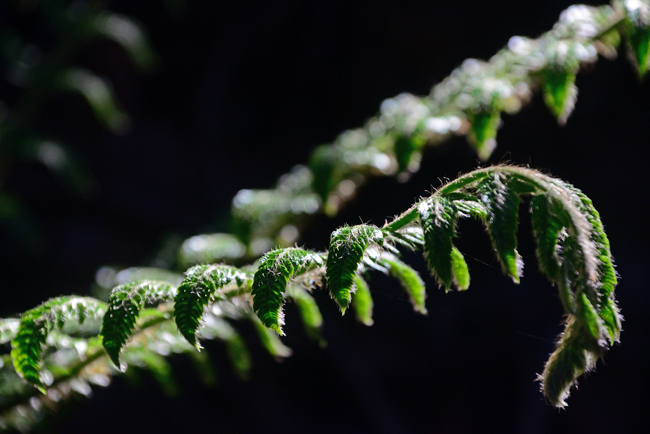 DSC_0283-2.jpg