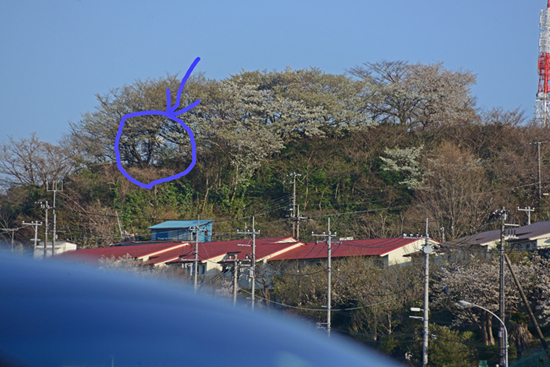 DSC_0302-3.jpg