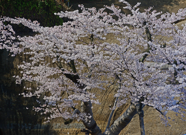 DSC_0640-2.jpg