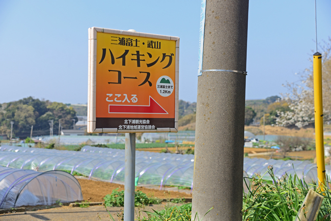 DSC_0708-2.jpg