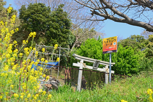 DSC_0716-2.jpg