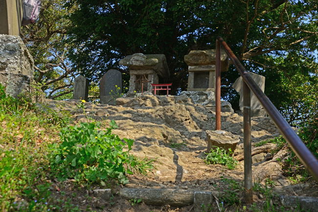 DSC_0744-2.jpg