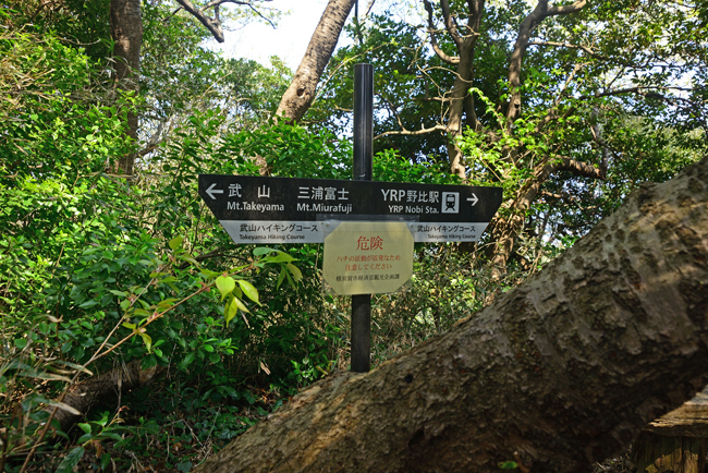 DSC_0762-2.jpg