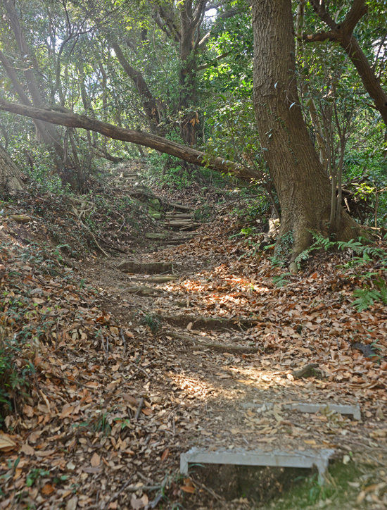 DSC_0766-2.jpg
