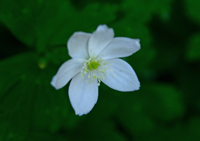 DSC_0775-2.jpg