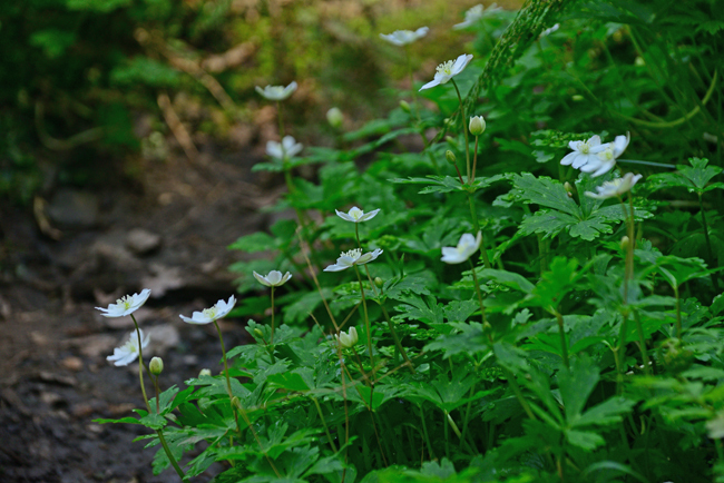 DSC_0776-2.jpg