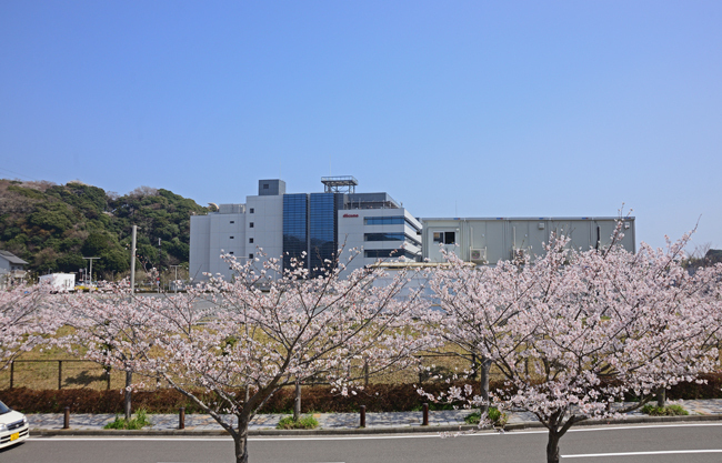 DSC_0823-2.jpg