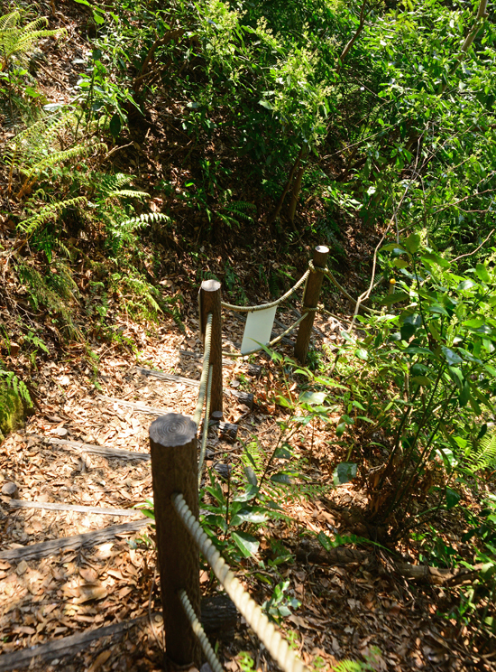 DSC_0825-2.jpg