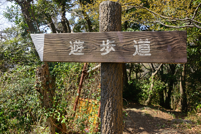 DSC_0830-2.jpg