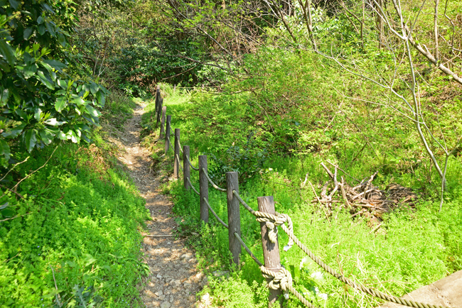 DSC_0842-2.jpg
