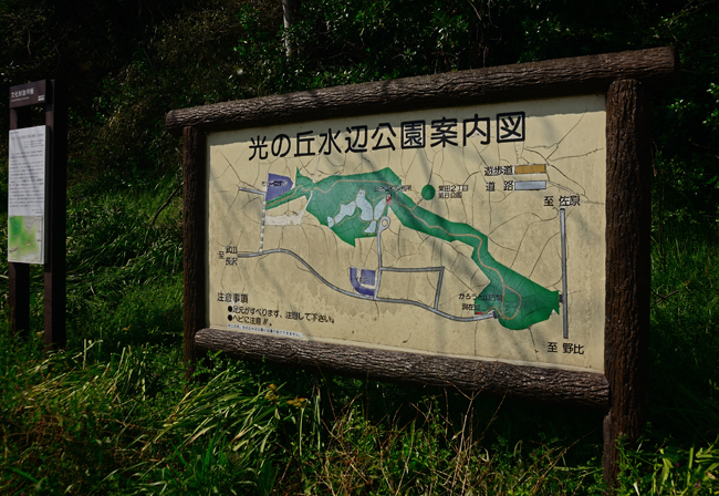 DSC_0843-2.jpg