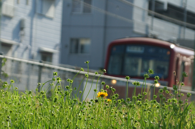 DSC_0909-2.jpg