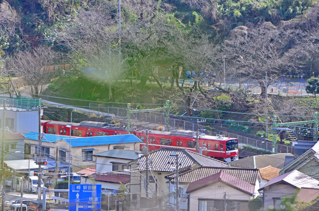 DSC_1031-2.jpg
