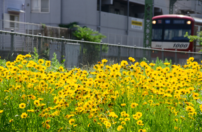 DSC_1047-2.jpg