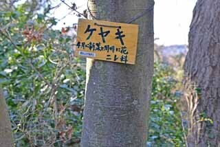 DSC_1107-2.jpg