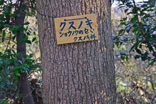 DSC_1108-2.jpg