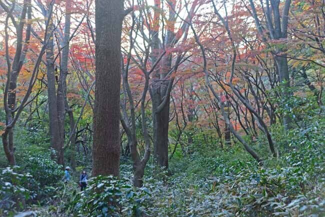 DSC_1110-3.jpg
