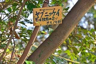 DSC_1113-2.jpg