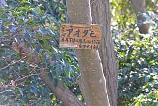 DSC_1141-2.jpg