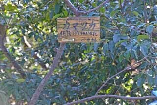 DSC_1142-2.jpg
