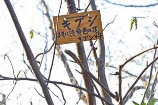 DSC_1168-2.jpg