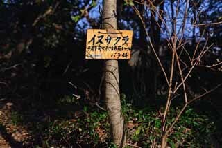 DSC_1184-2.jpg