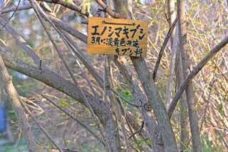 DSC_1196-2.jpg