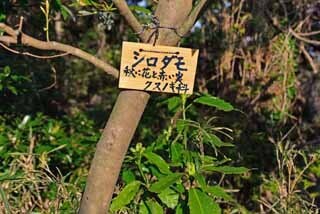 DSC_1202-2.jpg