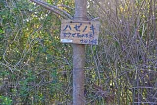 DSC_1228-2.jpg