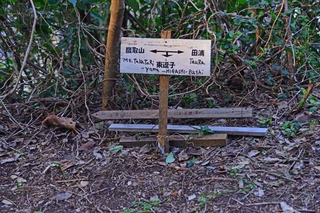 DSC_1234-2.jpg