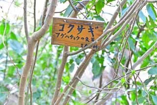 DSC_1237-2.jpg