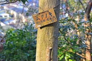 DSC_1239-2.jpg