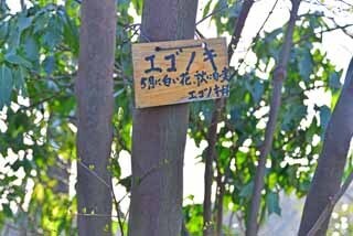 DSC_1242-2.jpg