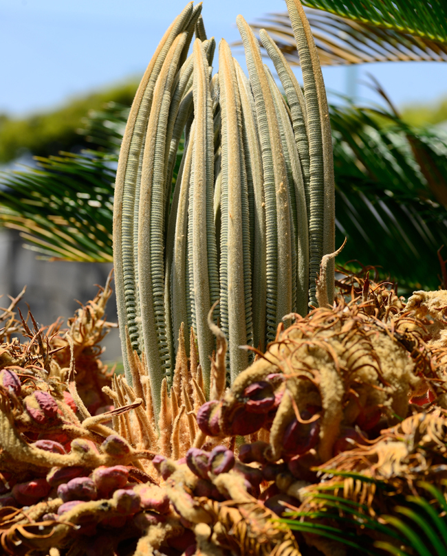 DSC_1246-2.jpg