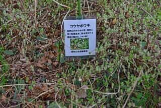 DSC_1252-2.jpg