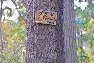 DSC_1253-2.jpg