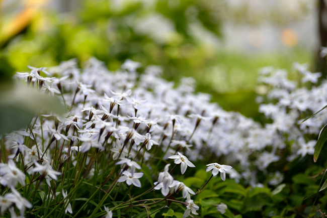 DSC_1256-2.jpg