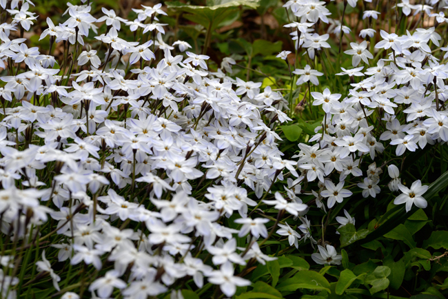 DSC_1261-2.jpg
